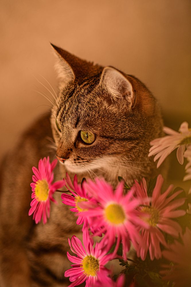 Photograph by Анастасия Донская