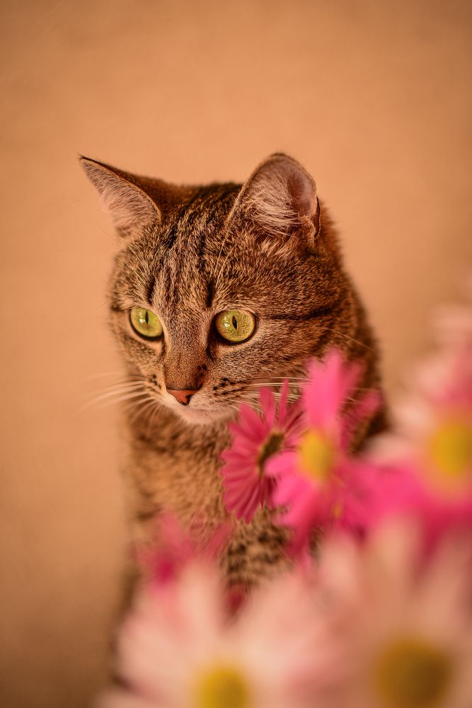 Photograph by Анастасия Донская