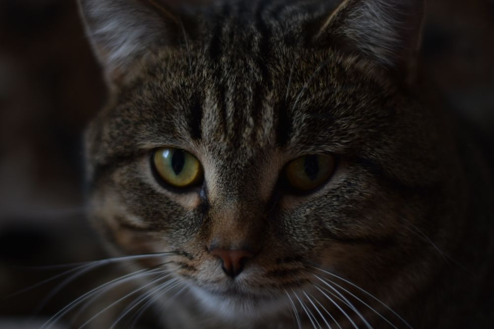 Photograph by Любовь Викторовна