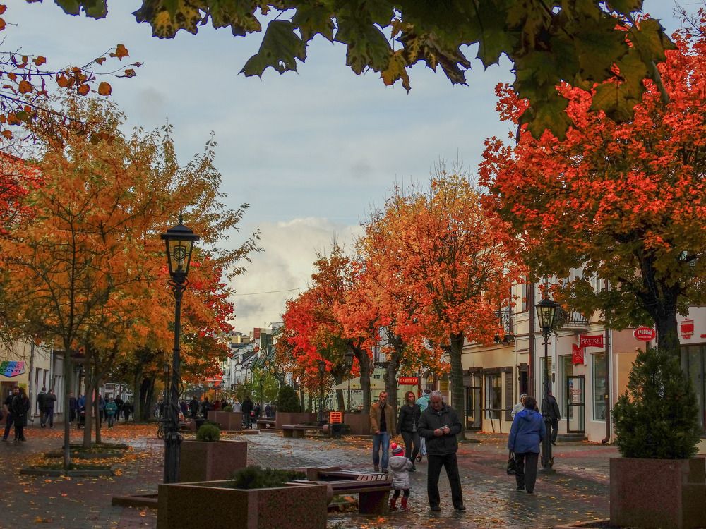 Photograph by Ирина Половцева