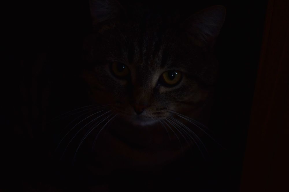 Photograph by Любовь Викторовна