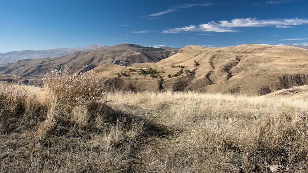 Photograph by Наталья Кокорина