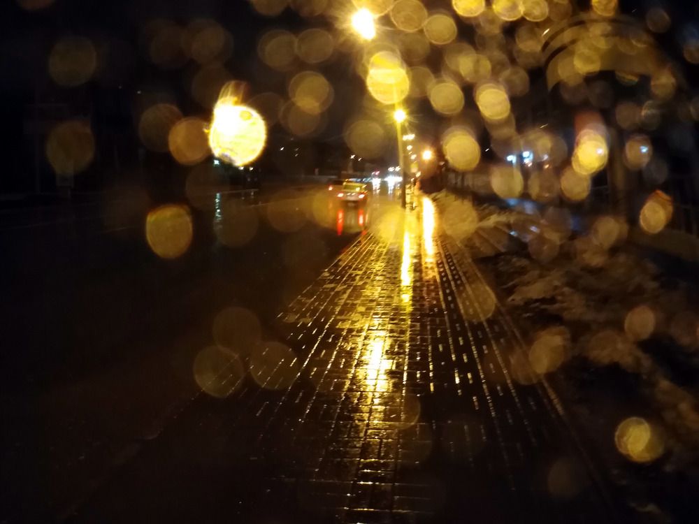 Photograph by Marina Razheva