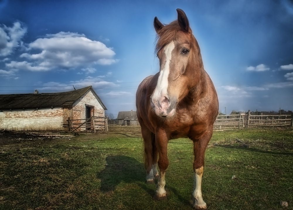 Фотография автора Юлия Кранина