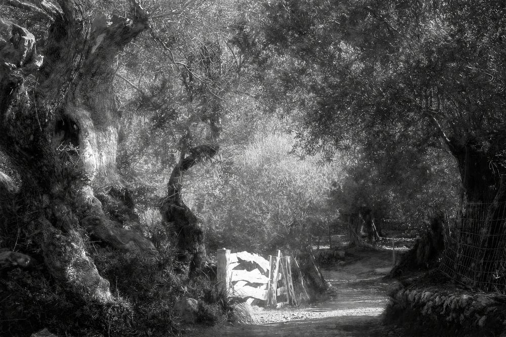 Photograph by ROQUE RAMAJO POLO