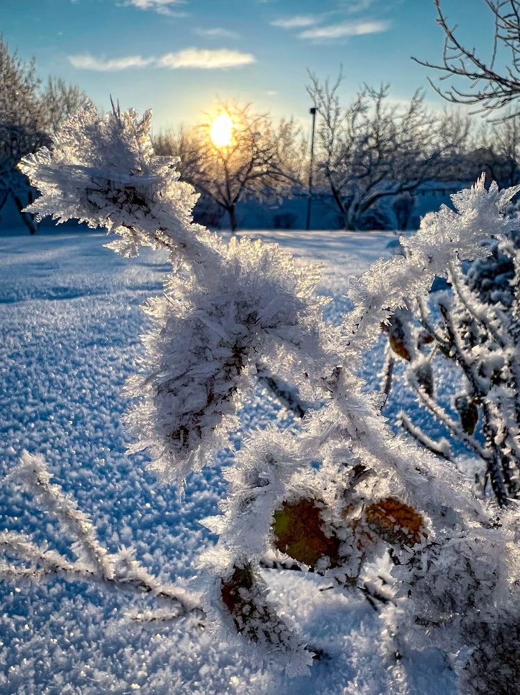 Photograph by Марина Нагичева