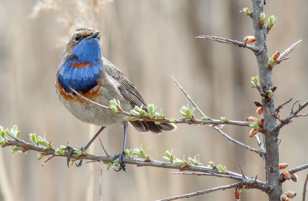 Photograph by Александр
