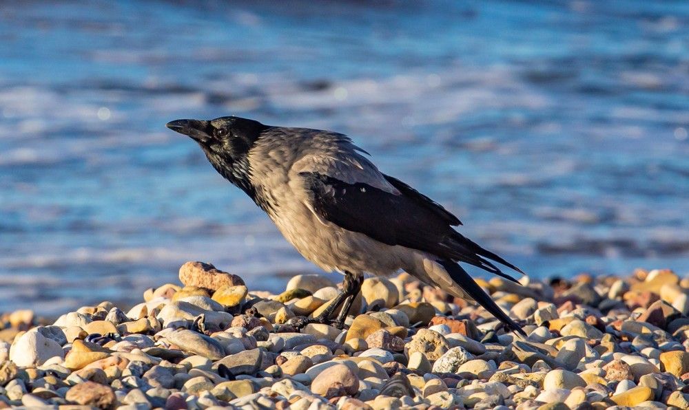 Photograph by Светлана Ковалёнок