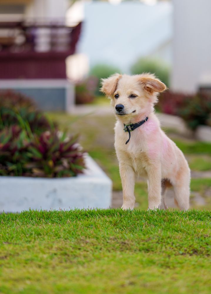 Photograph by Anand R J