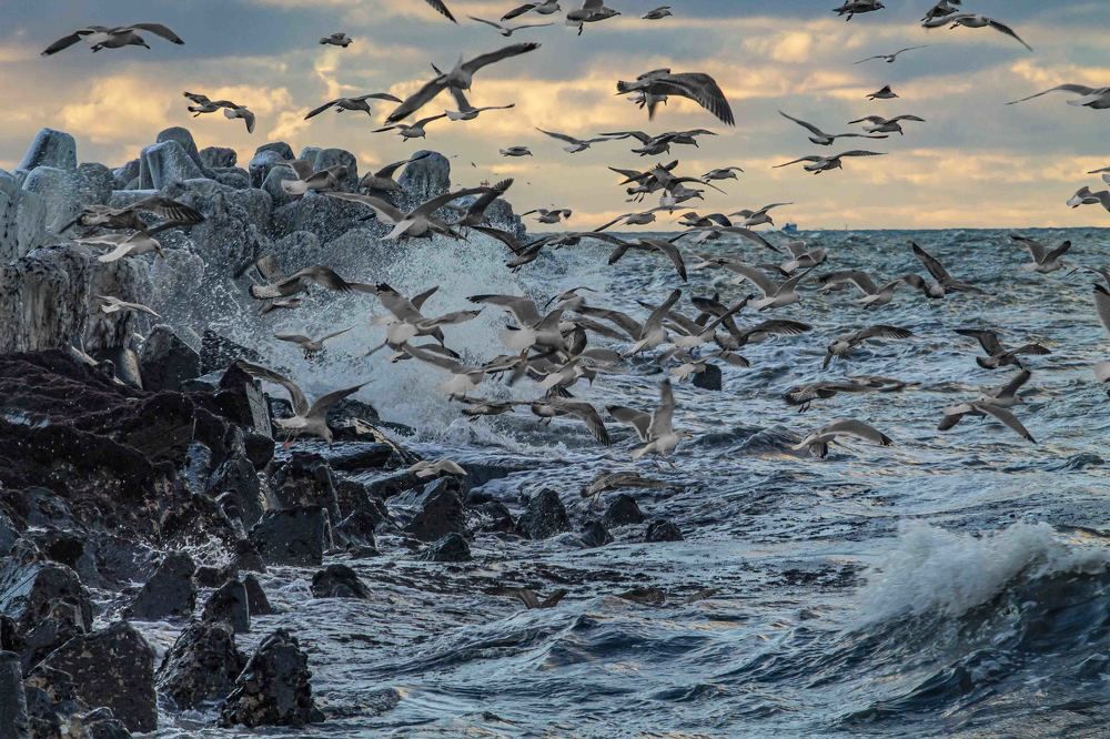 Photograph by Светлана Ковалёнок