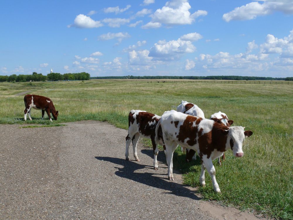 Фотография автора Клавдия Васильева