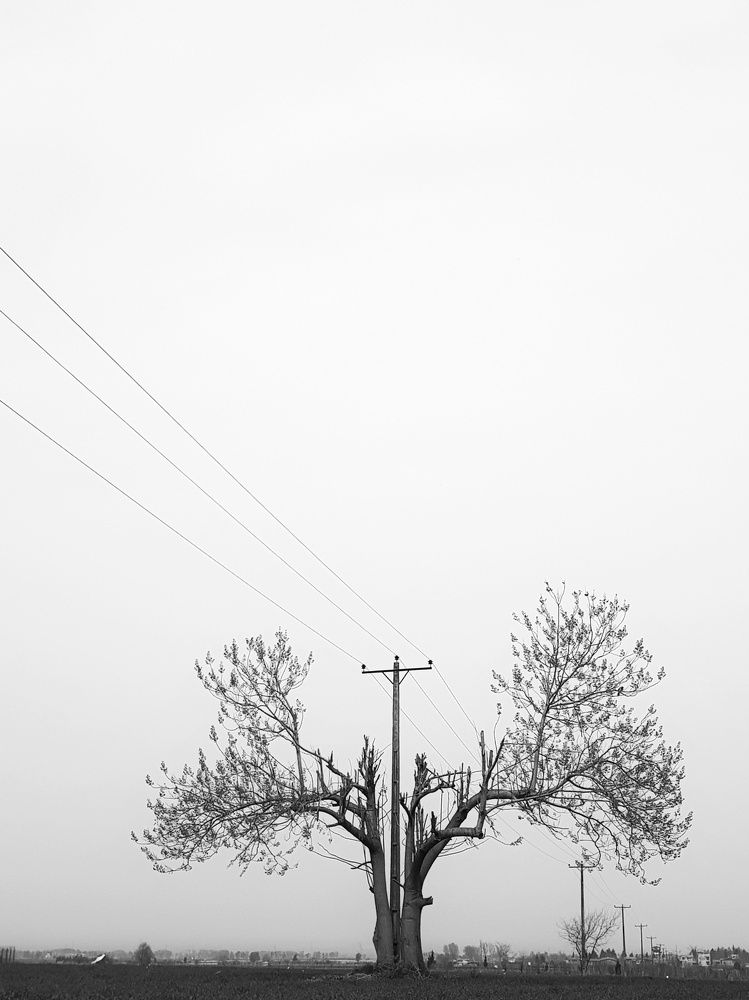 Photograph by maziar zahmatkesh