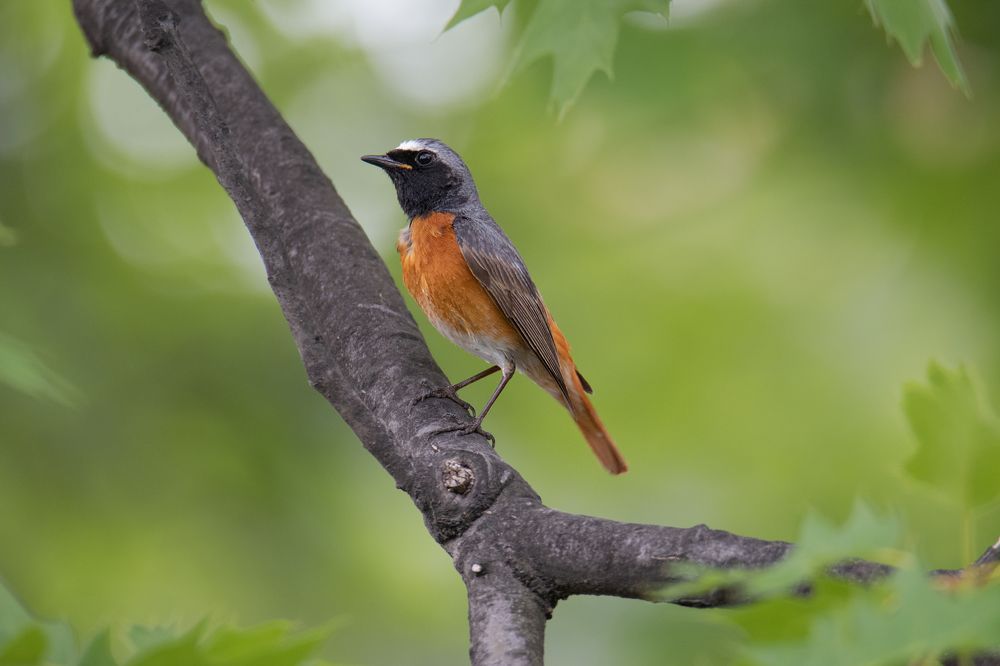 Photograph by Денис Ветренко