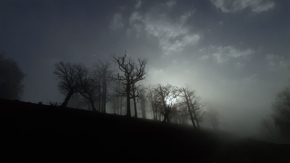 Photograph by mokhalad albu mohamad