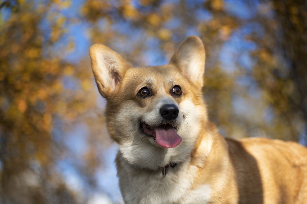 Photograph by Маргарита Богуславская