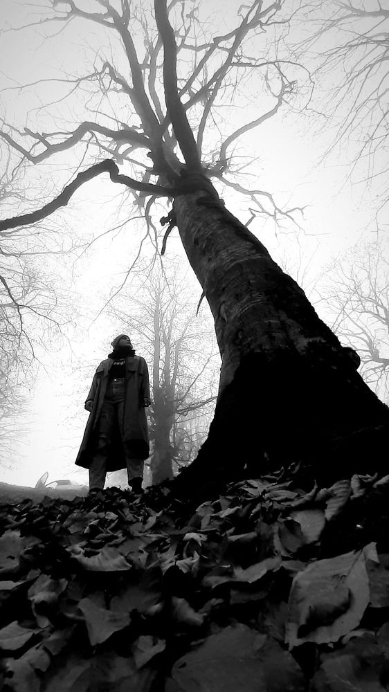 Photograph by mokhalad albu mohamad