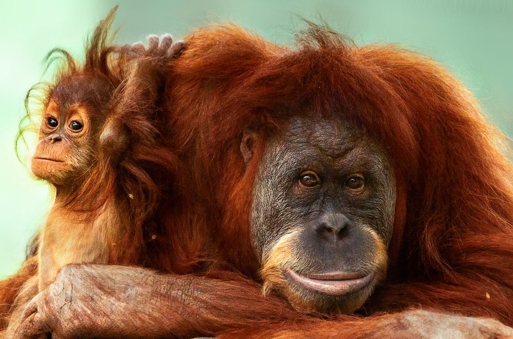 Photograph by David Lerer