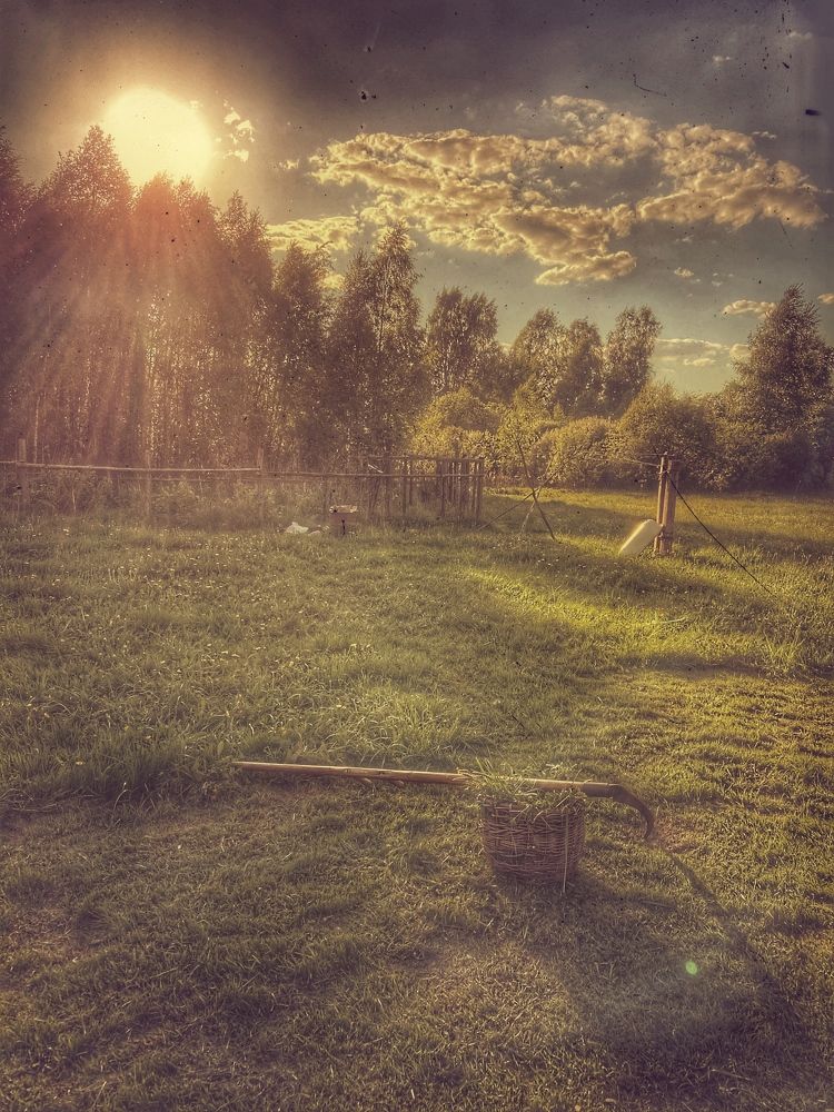 Фотография автора Екатерина Устинкина