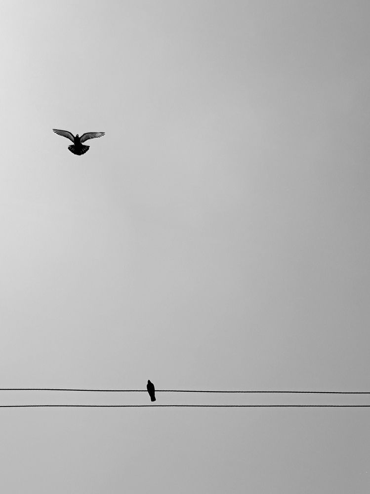 Photograph by maziar zahmatkesh