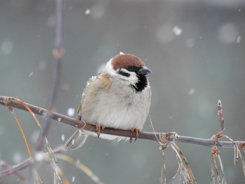 Photograph by Татьяна Калугина