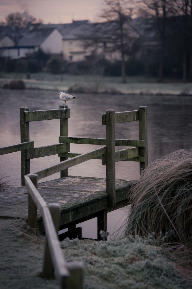 Фотография автора Диана Акопян
