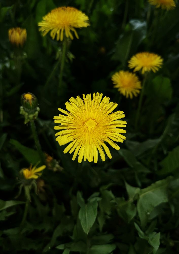 Photograph by Ольга Остапенко