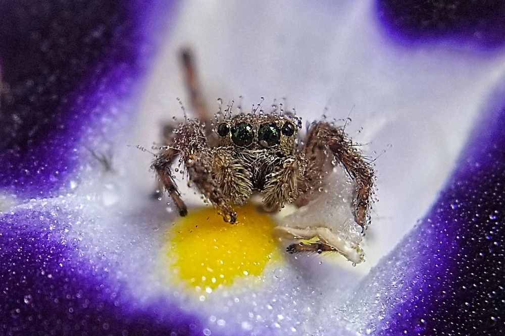 Photograph by Kasun Wickramasinghe