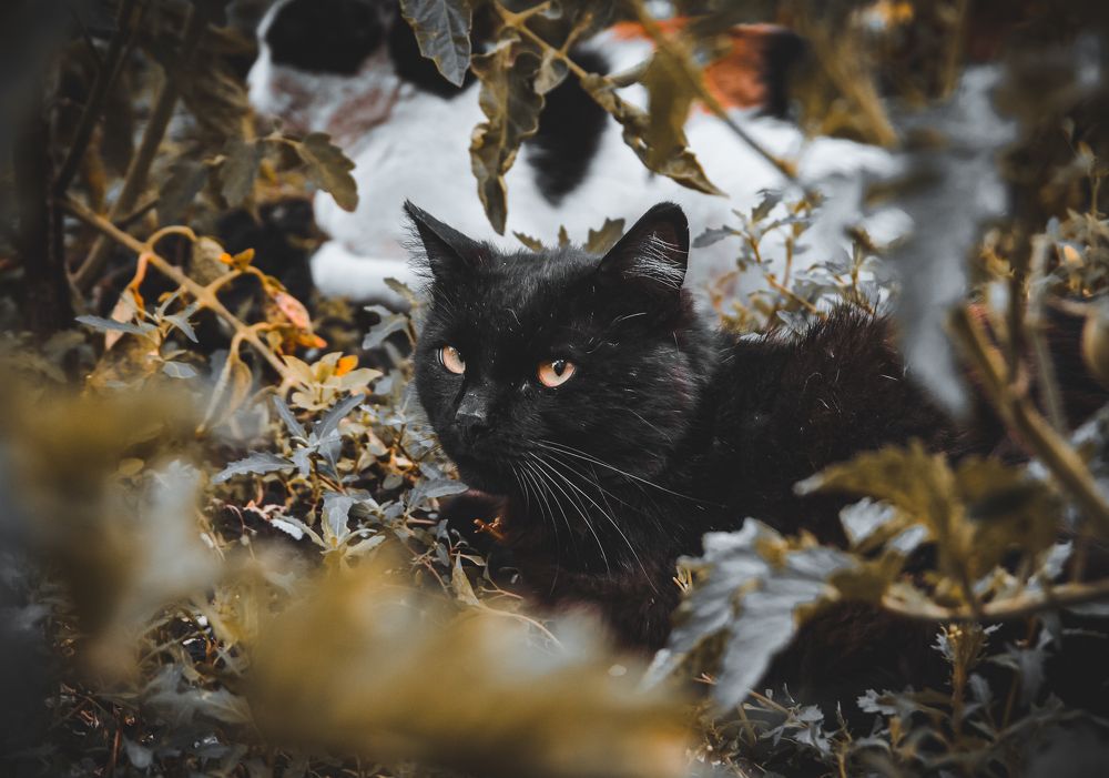 Photograph by Ольга Остапенко