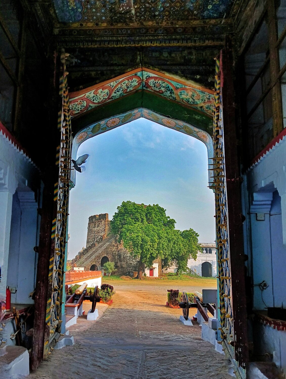 The door of nature
