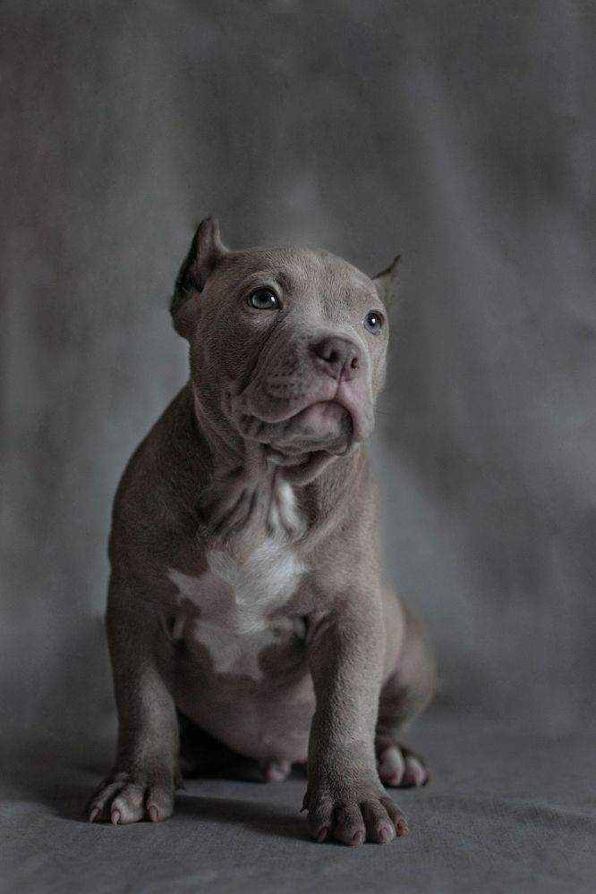 Photograph by Дарья Зайцева