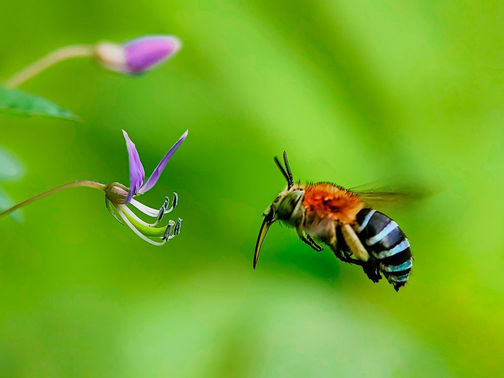 Photograph by Shankhadip Choudhury