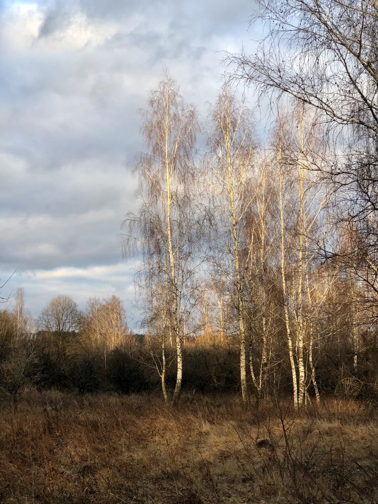 Photograph by Liubov