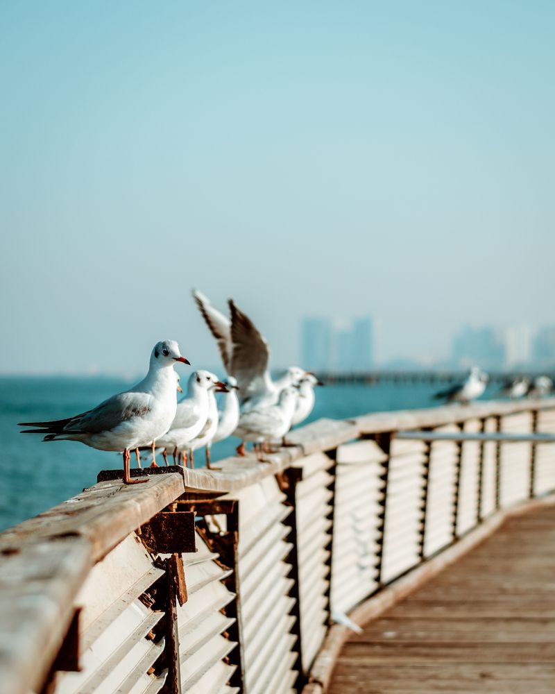 Фотография автора Mohammad Mohammadpour