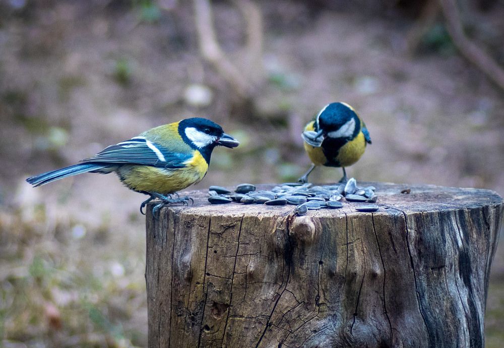 Photograph by Александр Войтко