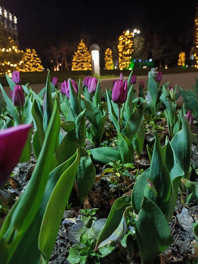 Photograph by Маргарита