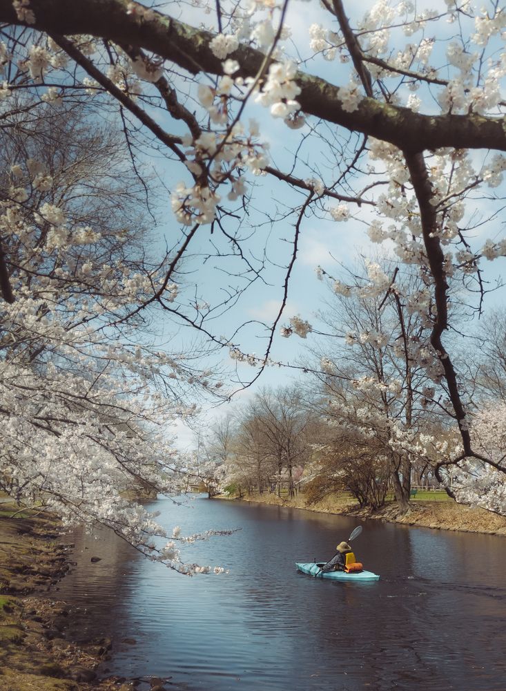 Photograph by Abdul Halim Ekram