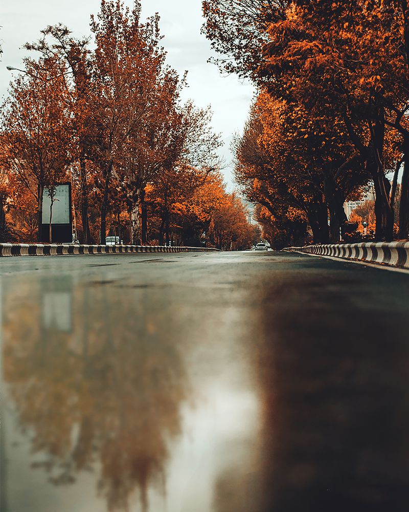 Fall in Tabriz
