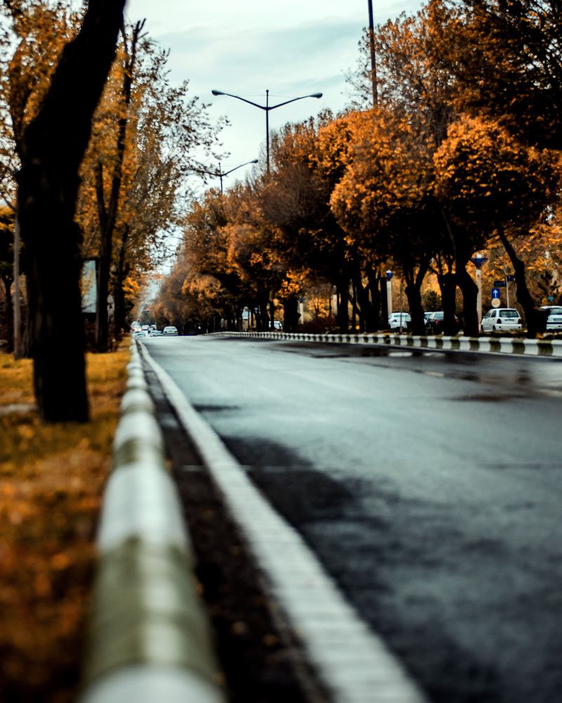 Фотография автора Mohammad Mohammadpour