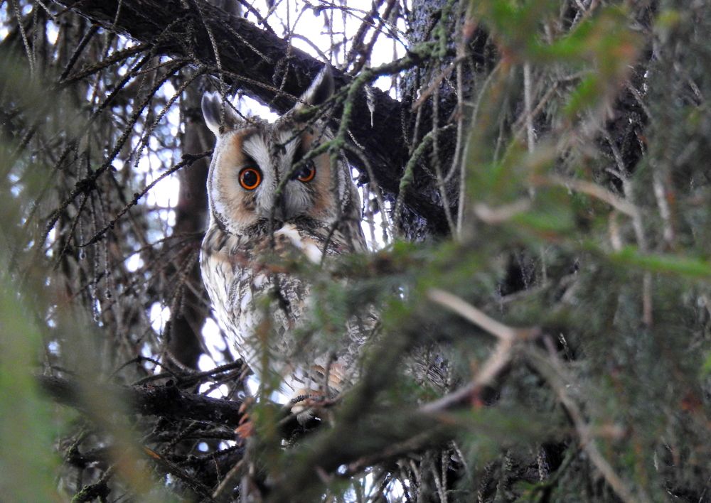 Photograph by Татьяна Калугина