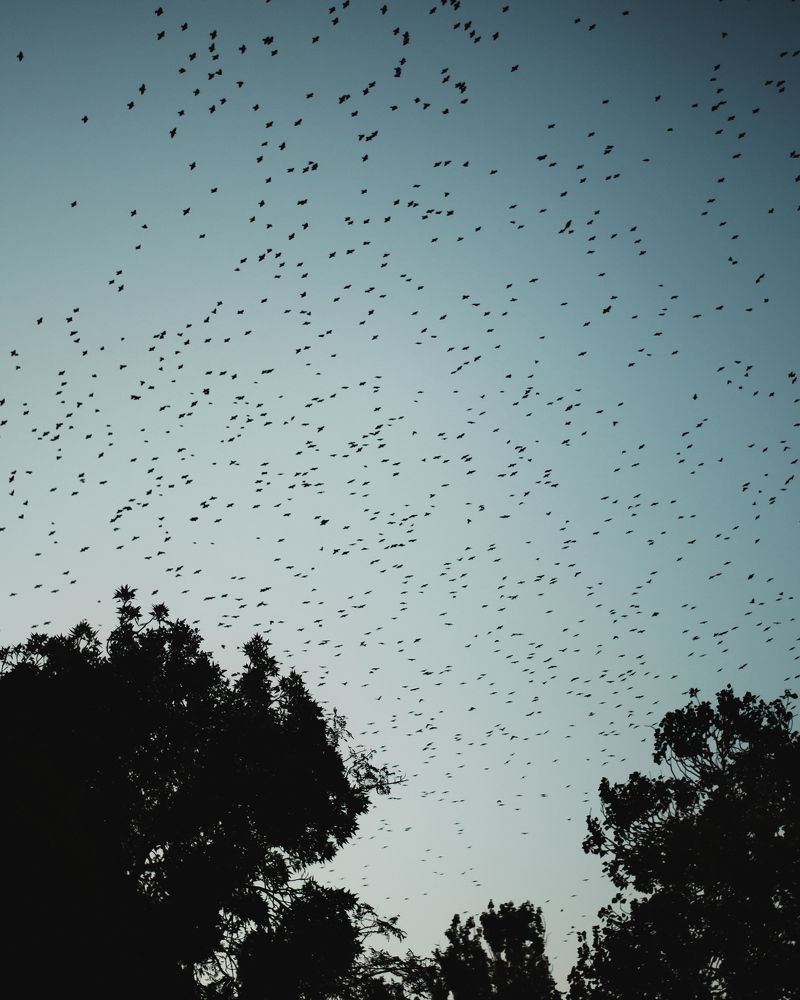 Фотография автора Mohammad Mohammadpour