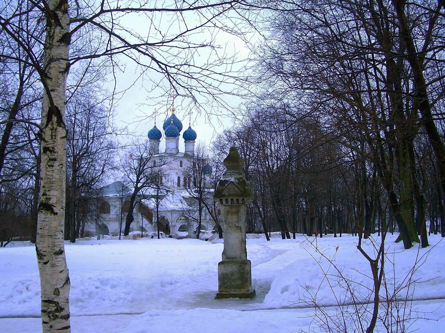 Photo #7506344