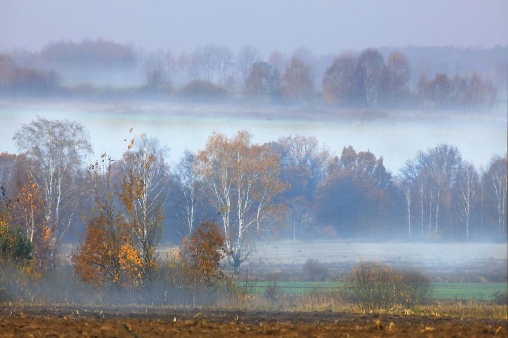 Photograph by Николай Протасеня