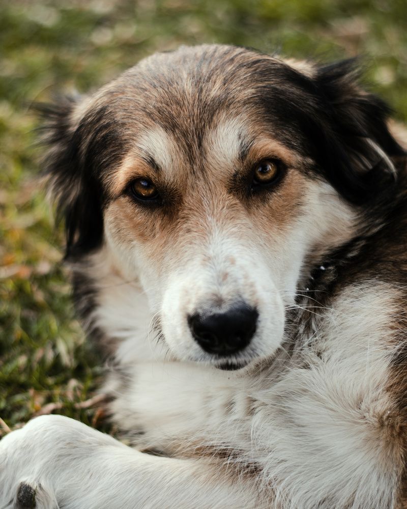 Фотография автора Mohammad Mohammadpour