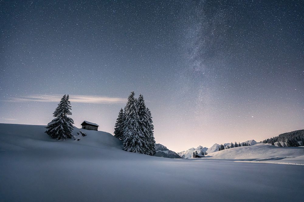 Photograph by David Dunand