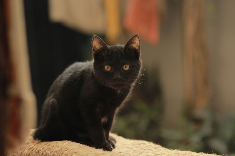 Photograph by Abdullah Tariq