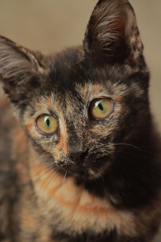 Photograph by Abdullah Tariq