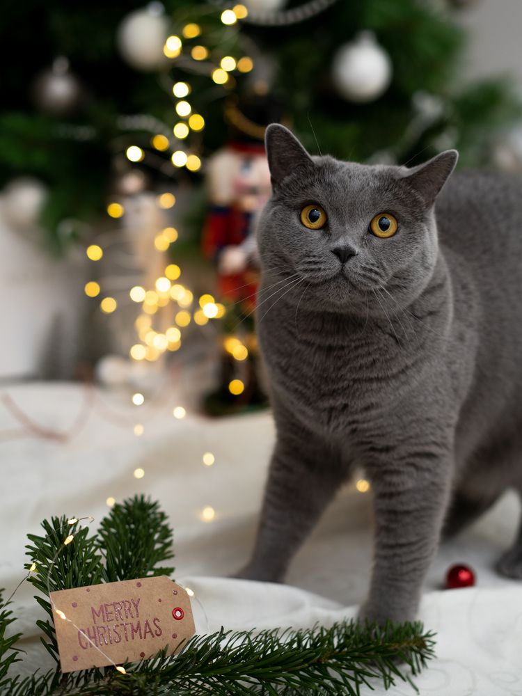 Photograph by Nadeshda Weber