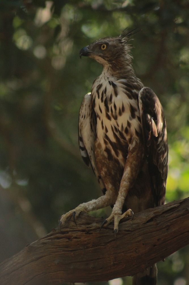 Photograph by Abdullah Tariq