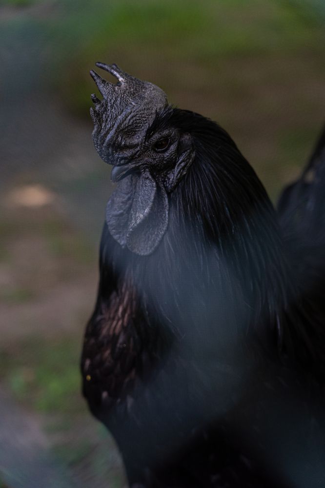 Photograph by Nadeshda Weber