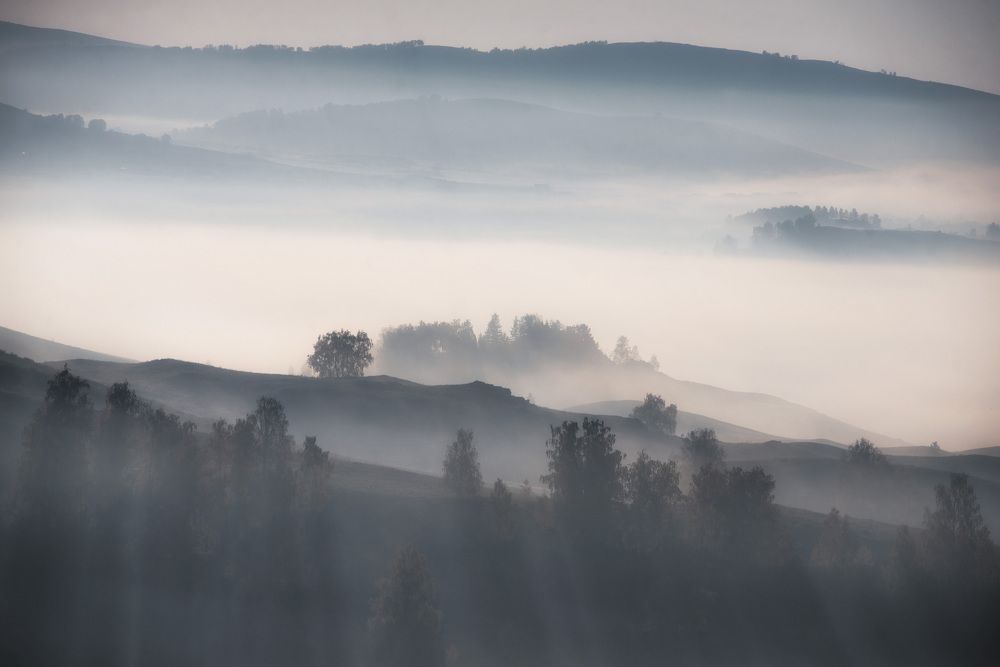 Photograph by Евгений Кудымов